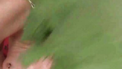 섹시한 여자들이 베개를 베고 침대에서 장난을 치고 있다
